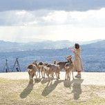 【奈良】女子一人旅で泊まりたいホテル|おしゃれな “だけじゃない” 6選