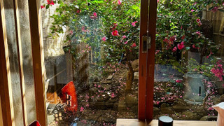 京町家一棟貸し (最大10名利用可能) 禁煙