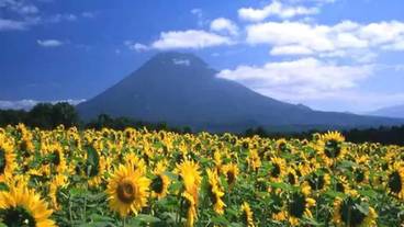 施設からの眺望 / 14