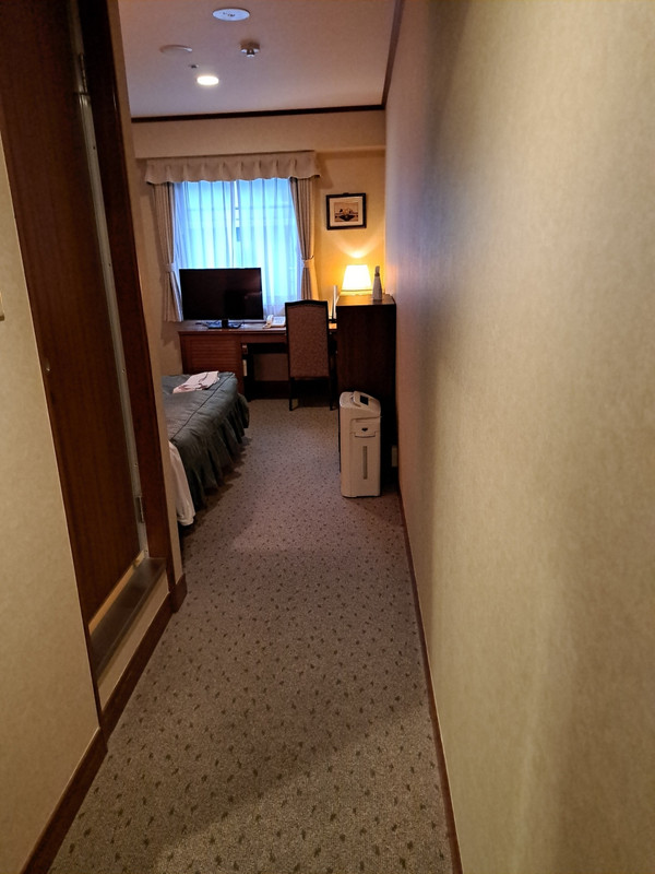 平米数は広いがデッドスペースも多いの