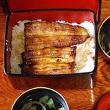 菊屋（キクヤ）