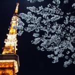 花見はピクニックだけじゃない！楽しみ方別、東京の桜の名所10