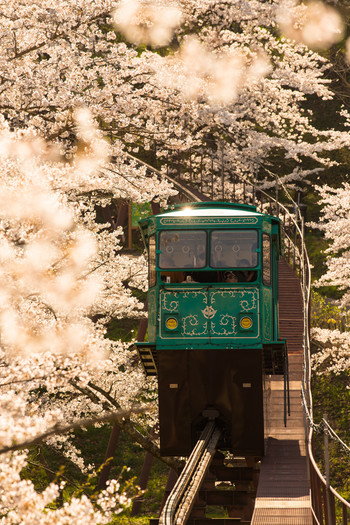 1.船岡城址公園1563957