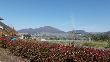 ガーデン ビュー / 38