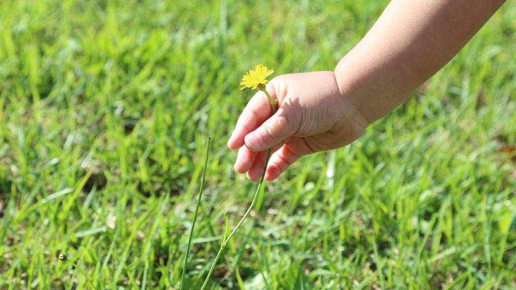 朝の風を感じながら
「靭公園」をお散歩 / 3