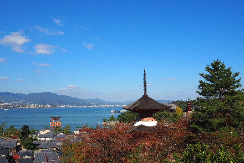 宮島の景色を堪能したい！絶景カフェへ3693528