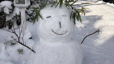 施設の敷地 / 29