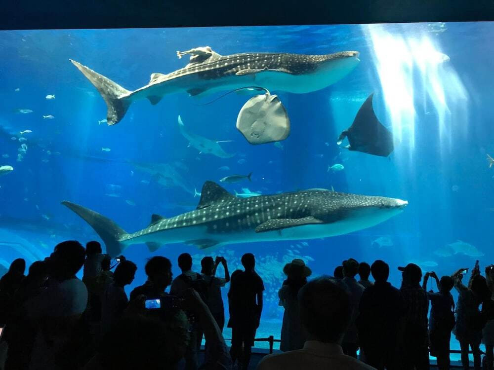 フィットネス設備