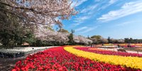 「なばなの里」周辺のおすすめホテル10選♪カップルも子連れも大満足／三重