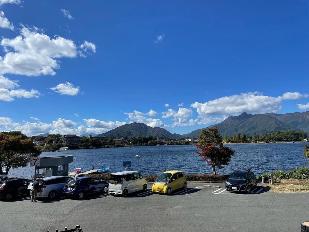 suisuicogicogiさんの写真 / 2