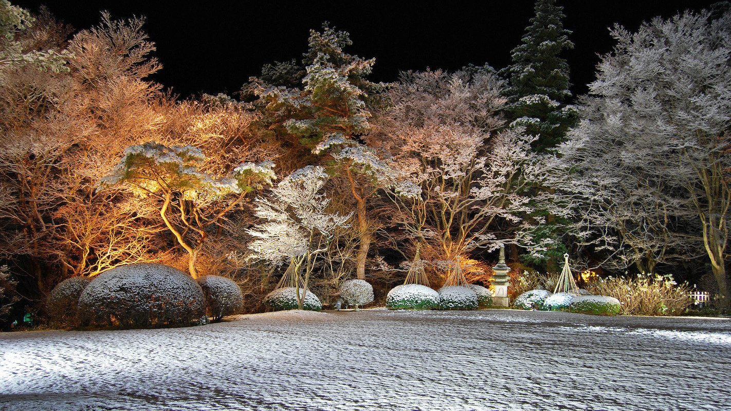 冬の日本庭園