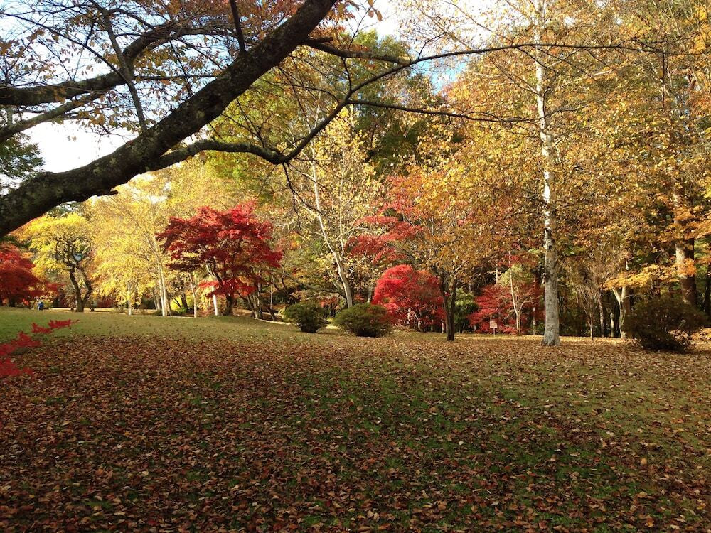 庭園