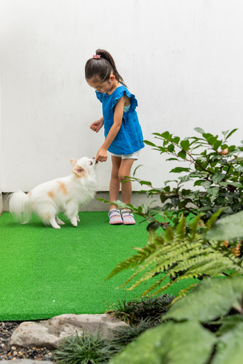 ドッグテラスでワンちゃん興奮♪豊富なグッズにおもてなし度◎3929430