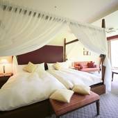 ホテルハーヴェスト旧軽井沢（長野県 リゾートホテル） / 2