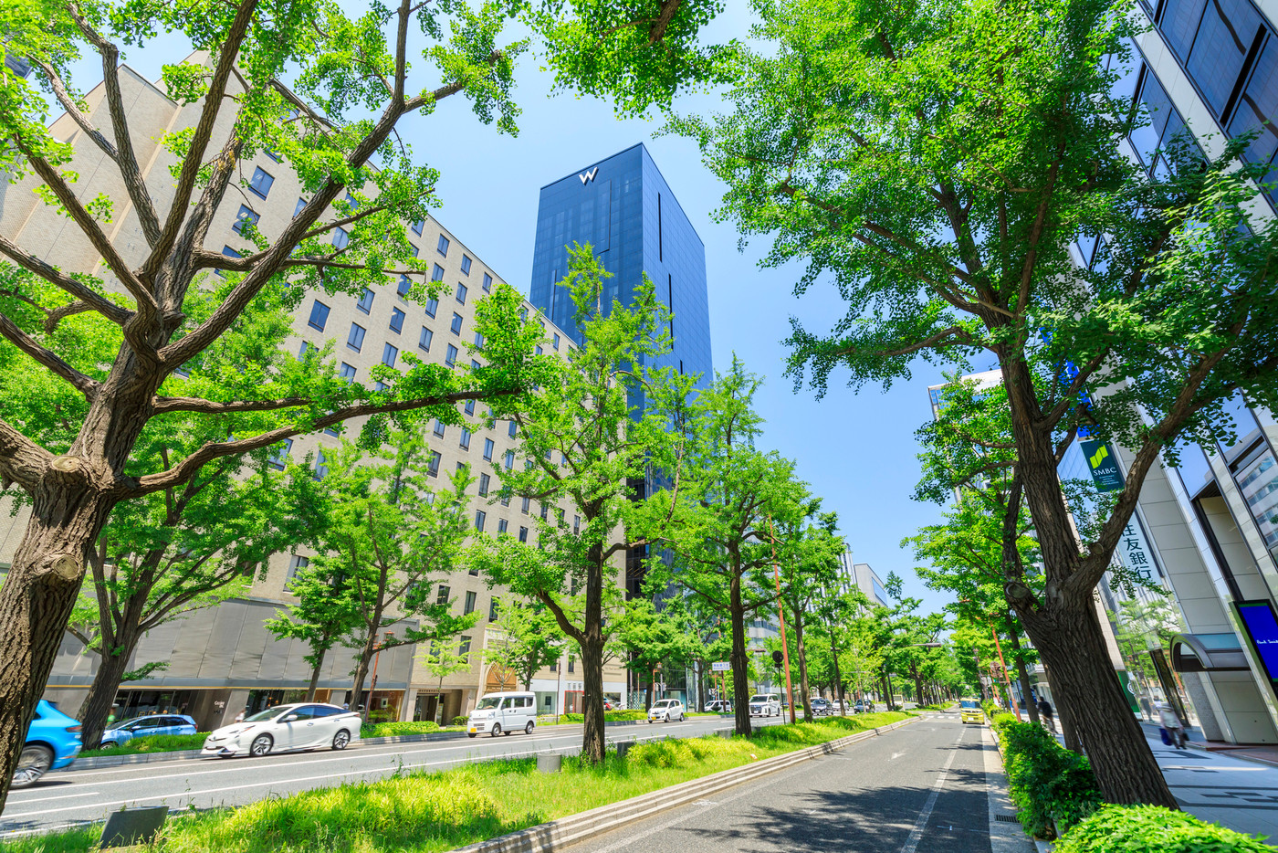 大阪市中央区南船場　初夏の御堂筋