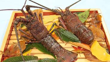 食事・飲み物 / 20