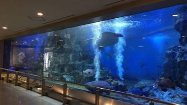 観光スポット / 5