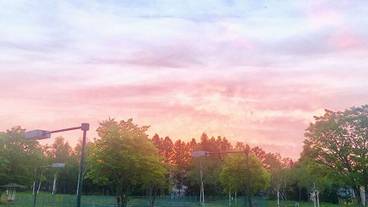 施設内の設備 / 13