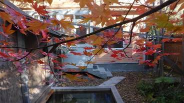 施設の敷地 / 18