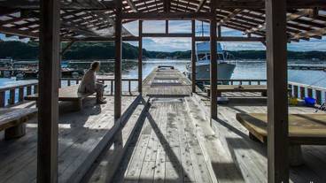 施設からの眺望 / 19