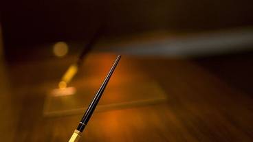 内装の詳細 / 17