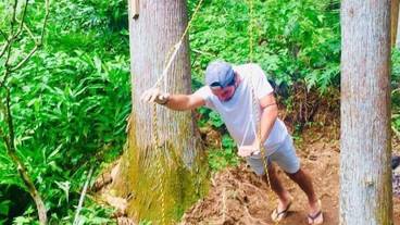 テラス / パティオ / 8