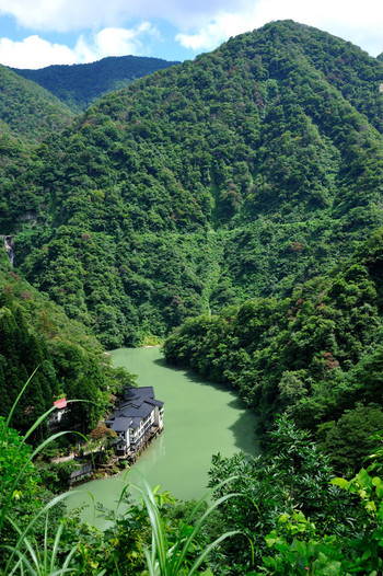 いかがでしたか？909144