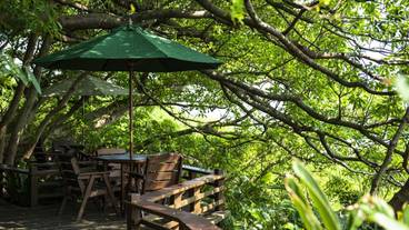 山の茶屋 楽水 テラス席(2) / 7