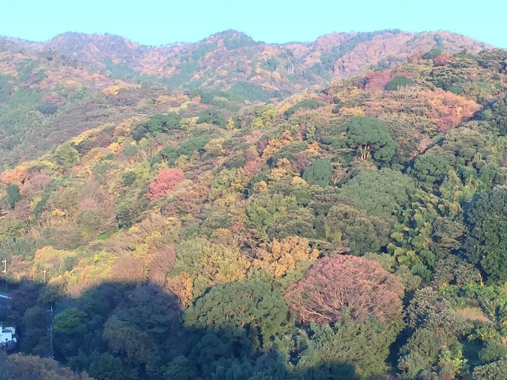 部屋からの景観