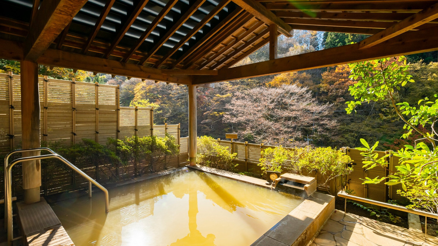 歴史ある温泉宿で名湯を堪能3439379