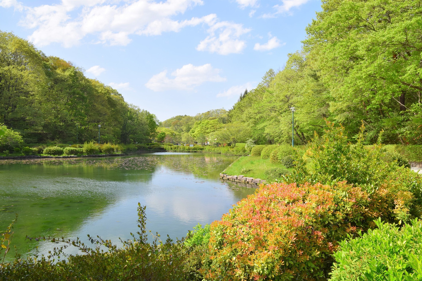 公園