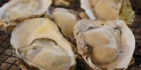 【糸島】冬の福岡旅なら牡蠣小屋は外せない！安くて美味しい「牡蠣小屋」を徹底ガイド