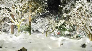 施設の敷地 / 12