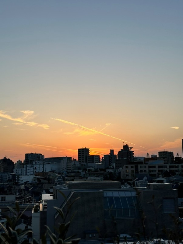 newn0819さんの写真 / 2