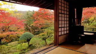 本館1階「華清」