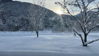 コンフォート ツインルーム 禁煙