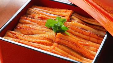 食事・飲み物 / 22