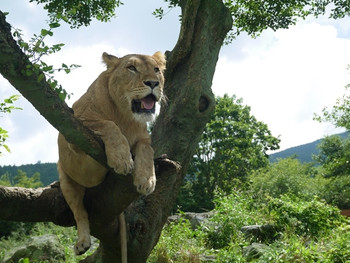 和室でのんびり。観光地へも好アクセスなホテル3466276