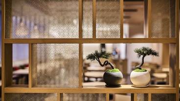 レストラン / 19