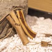 川湯温泉 川湯観光ホテル(北海道 リゾートホテル) / 3