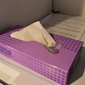 Iwatoyama Hostel（岩戸山ホステル）（京都府 ゲストハウス・ホステル・ドミトリー） / 5