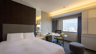 エグゼクティブダブル（ビジネスタイプ） 禁煙 エアウィーヴ仕様(スカイビュー)