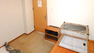 [DOG同伴ルーム和モダン和室]35平米　檜露天風呂　禁煙