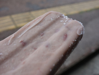 「野村屋」料理 1223867 案外脆く割れるので食べ易い