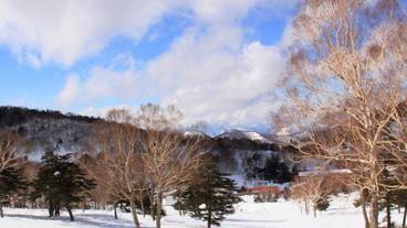 施設の敷地 / 28