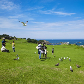子連れにやさしいホテルに泊まったら翌日は楽しく観光♪3461607