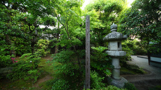 準貴賓室 (1階庭園側, 禁煙)