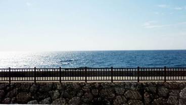 ビーチ / オーシャン ビュー / 4