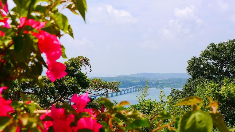 施設からの眺望