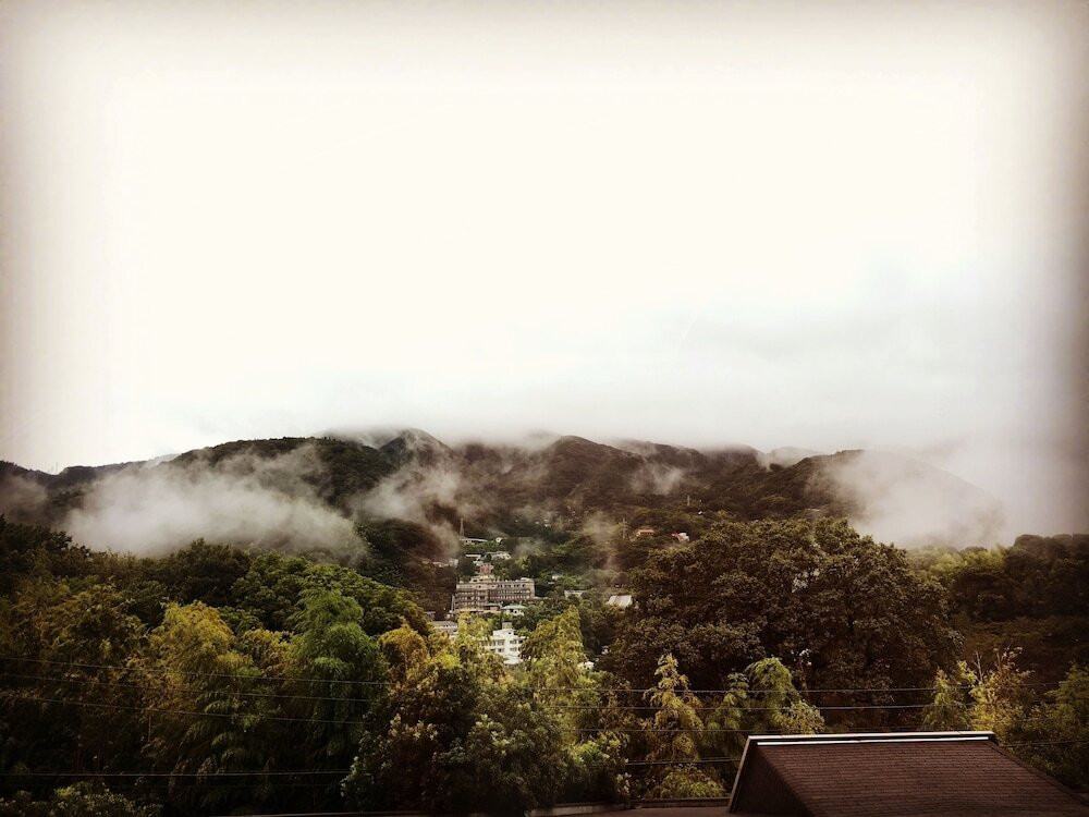 マウンテン ビュー